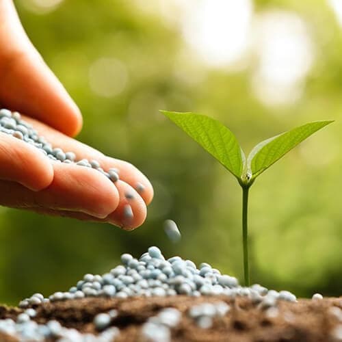 Plant Care & Fertilizers