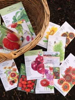 Seeds & Bulbs